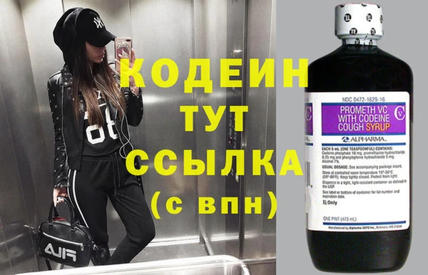 хмурый Вяземский