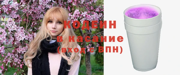 хмурый Вяземский